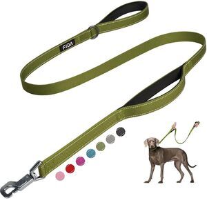 4 FT Heavy Duty Dog Leash with 2 Comfortable Padded Handles, Traffic Handle